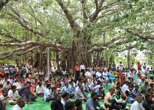 tree-under-meeting